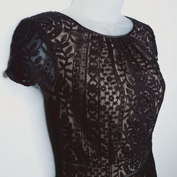 Adrianna Papell Pleat Stripe Filagree Dress Lace Overlay Fit Flare Cap Sleeve 10 - Picture 4 of 14